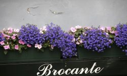 Quelles sont les 3 meilleures brocantes en France ?